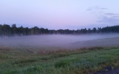 WSPÓŁCZESNE PROBLEMY ZARZĄDZANIA GOSPODARKĄ LEŚNĄ Poznań, 9-11.10.2019 r.