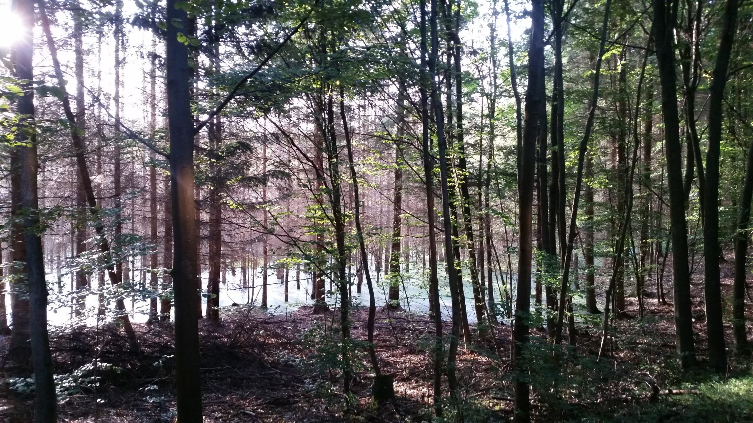 Park Narodowy